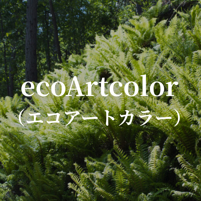 ecoArtcolor（エコアートカラー）